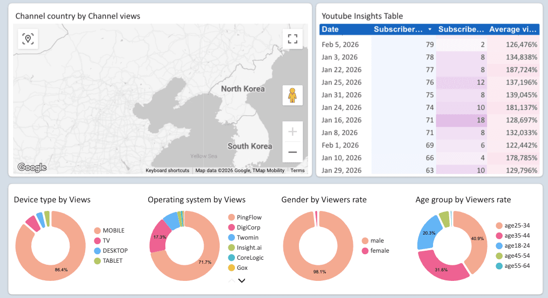 Youtube Insights - Channel and Audience Analysis