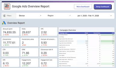 Google Ads Overview Report