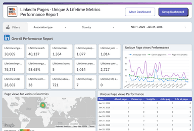 LinkedIn Pages - Unique & Lifetime Metrics Performance Report