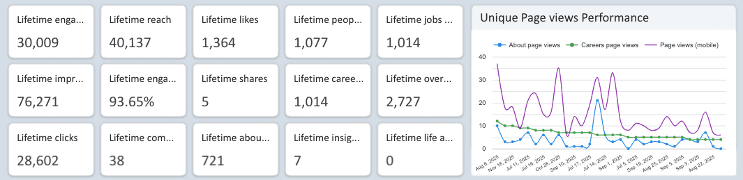 LinkedIn Pages - Unique & Lifetime Metrics Performance Report