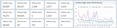LinkedIn Pages - Unique & Lifetime Metrics Performance Report