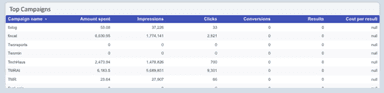 TikTok Ads Overview Report
