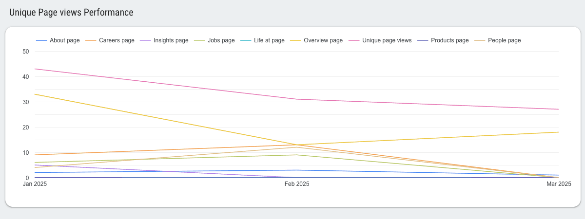 LinkedIn Pages - Unique & Lifetime Metrics Performance Report