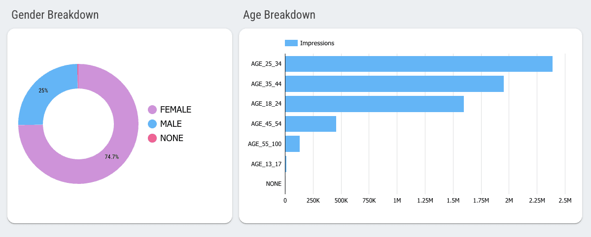 TikTok Ads Overview - Campaign And Audience Info Report